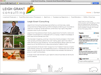 Web site for Leigh Grant Consulting